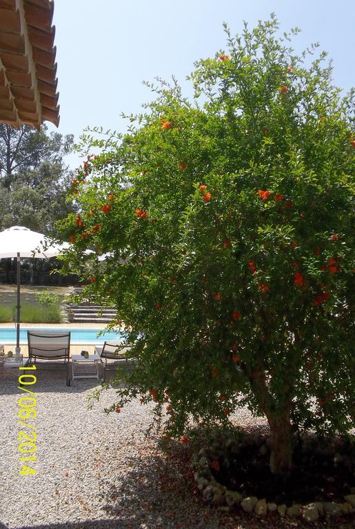 Bed and Breakfast Maprovencale Les Arcs-sur-Argens Zewnętrze zdjęcie